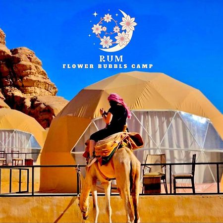 Rum Flower Bubbles Luxury Camp 와디럼 외부 사진